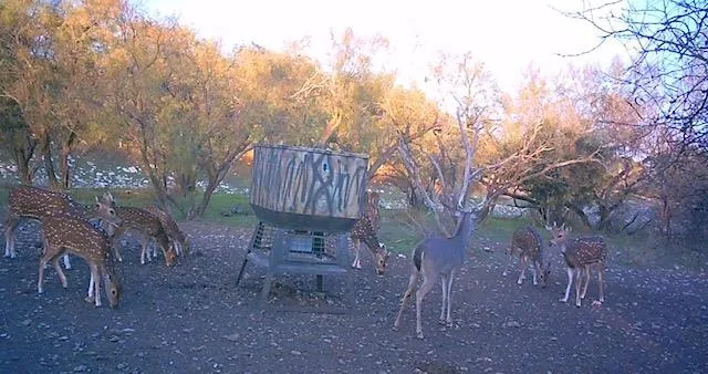 a view of a chairs and table in the patio