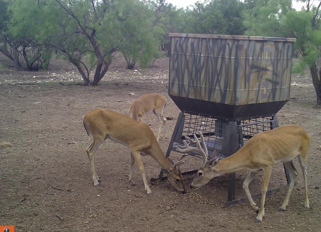 587 Valley Road Christoval, TX 76935 - Photo 18 of 36 a view of a chairs and table in the patio