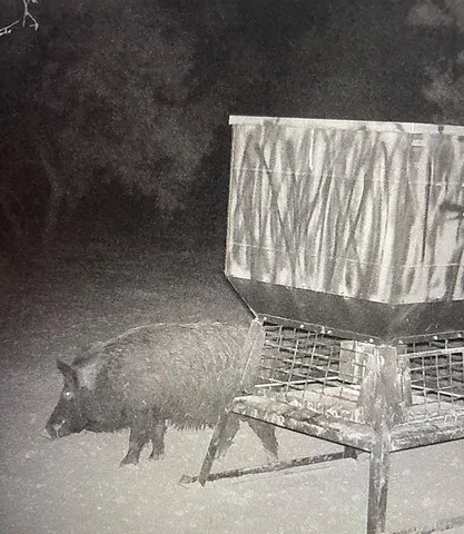 a view of a chairs and table in the patio