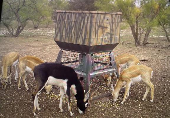 587 Valley Road Christoval, TX 76935 - Photo 2 of 36