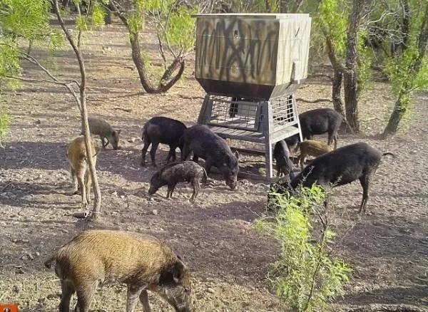 a view of an ocean beach