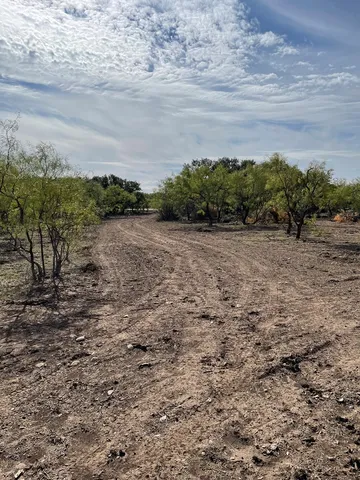 a view of a flower pot