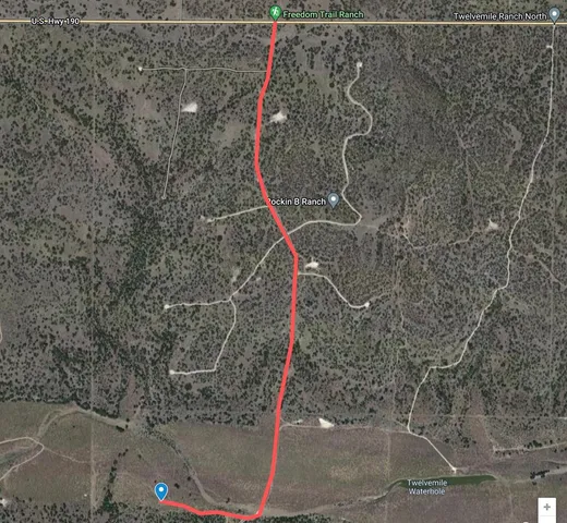 a view of a backyard with large trees and wooden fence