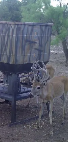 a view of a yard with iron fence