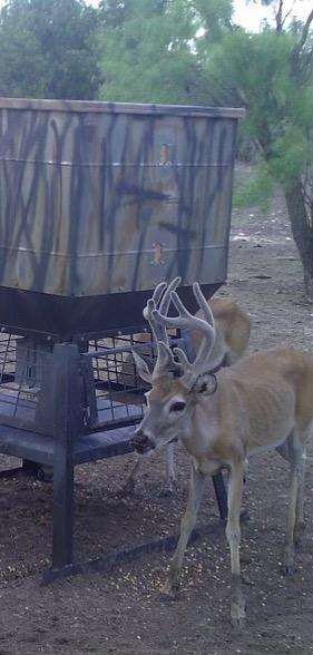 587 Valley Road Christoval, TX 76935 - Photo 30 of 36 a view of wooden fence