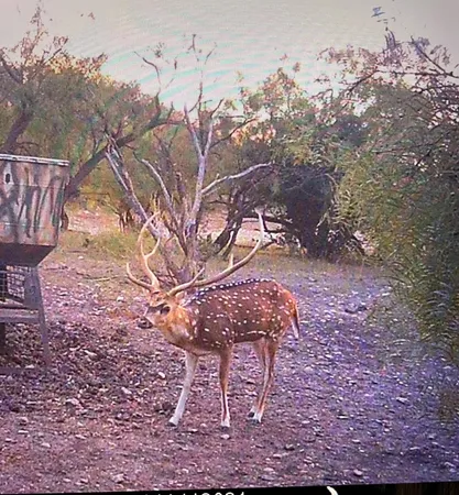 a view of a pathway of a building with a yard
