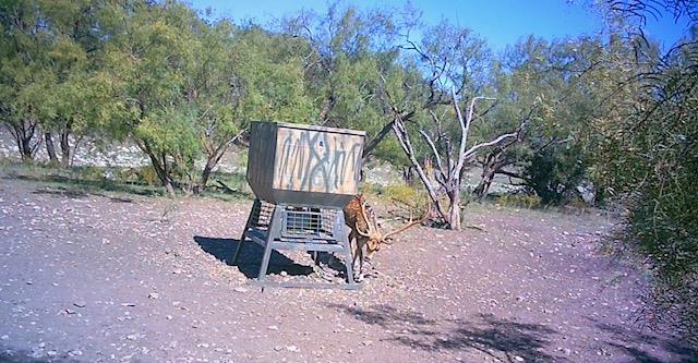 587 Valley Road Christoval, TX 76935 - Photo 31 of 36 a view of a backyard with large trees and wooden fence