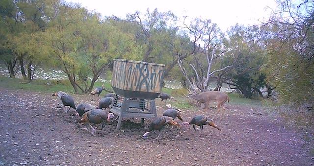 587 Valley Road Christoval, TX 76935 - Photo 32 of 36 a backyard of a house with table and chairs