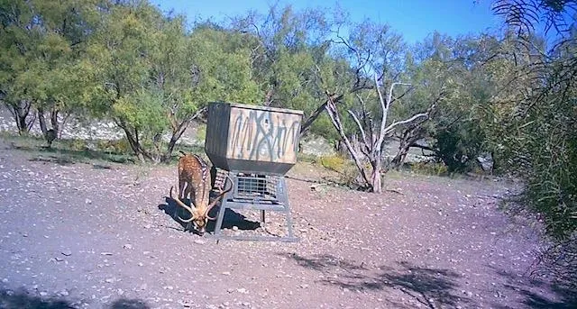 a view of a bunch of trees in a field