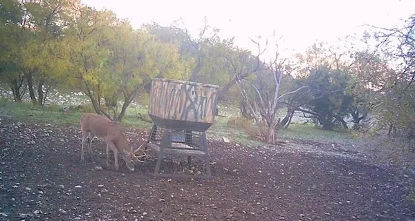 $305,000 | 587 Valley Road, Christoval, TX 76935