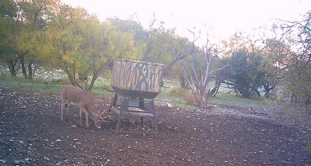 587 Valley Road Christoval, TX 76935 - Photo 34 of 36 a view of a backyard with large trees