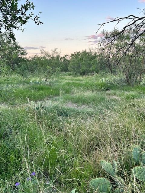 587 Valley Road Christoval, TX 76935 - Photo 35 of 36 a view of a lush green field