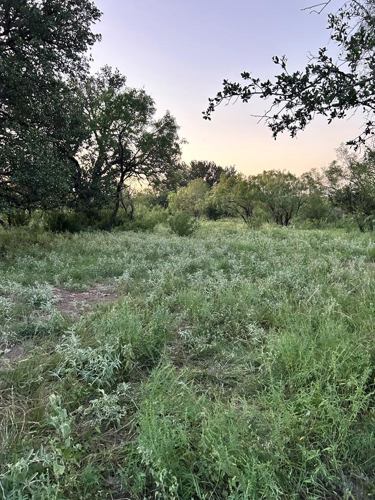 587 Valley Road Christoval, TX 76935 - Photo 36 of 36 a view of a bunch of trees in a field