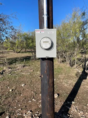 a view of a yard with plants and trees