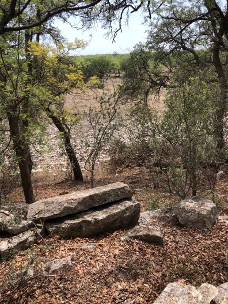 587 Valley Road Christoval, TX 76935 - Photo 6 of 36 a backyard of a house with a yard and large tree