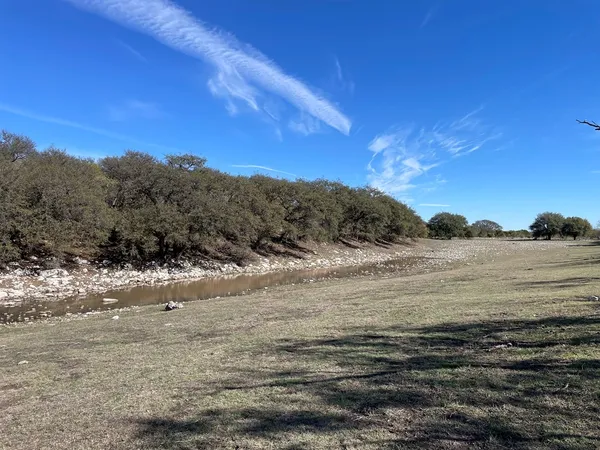 a view of a city with lush green forest