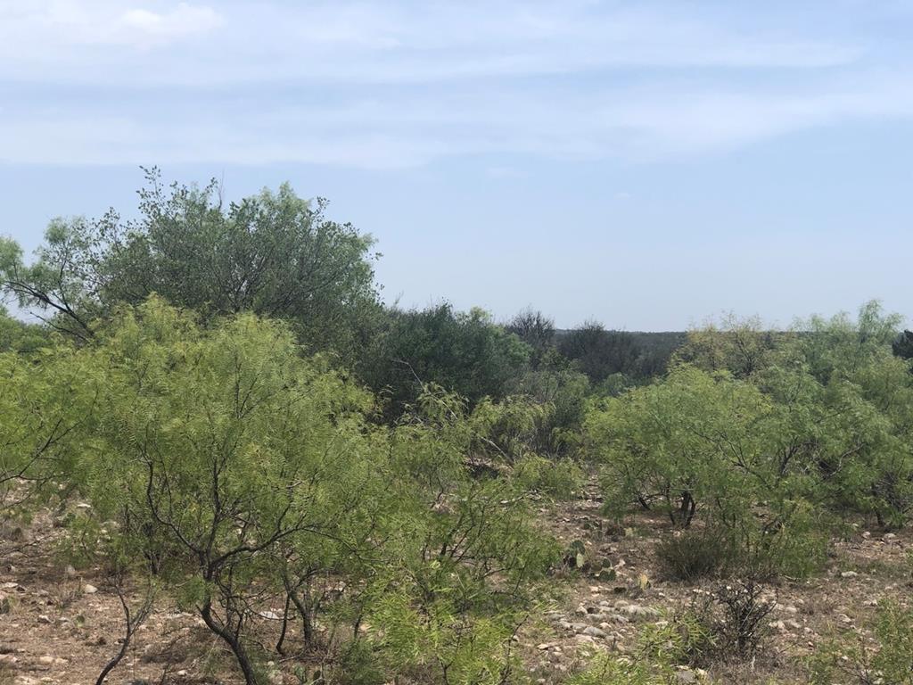 587 Valley Road Christoval, TX 76935 - Photo 9 of 36 a view of a city with lush green forest