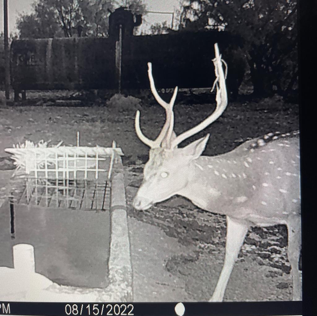 587 Valley Road Christoval, TX 76935 - Photo 10 of 36 a backyard of a house