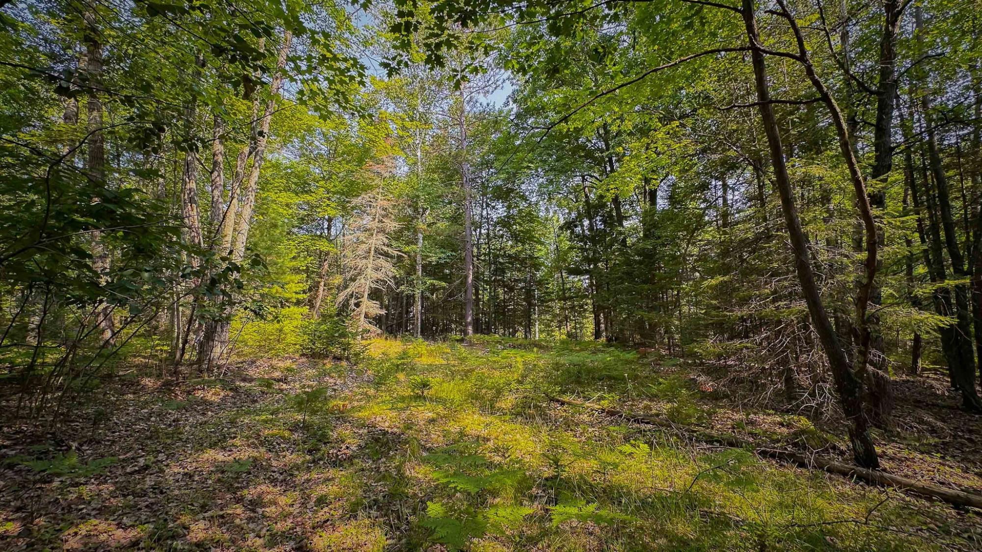 On Fish Lake Lane Rhinelander, WI 54501 - Photo 12 of 15 Gallery Image 12