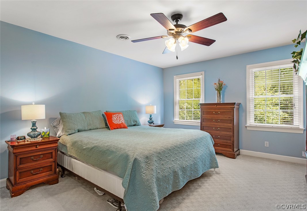 12625 2nd Branch Road Chesterfield, VA 23838 - Photo 28 of 49 Master Bedroom - ensuite bath, walk-in closet