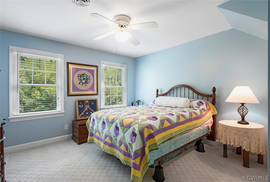 12625 2nd Branch Road Chesterfield, VA 23838 - Photo 33 of 49 3rd bedroom - carpet and ceiling fan