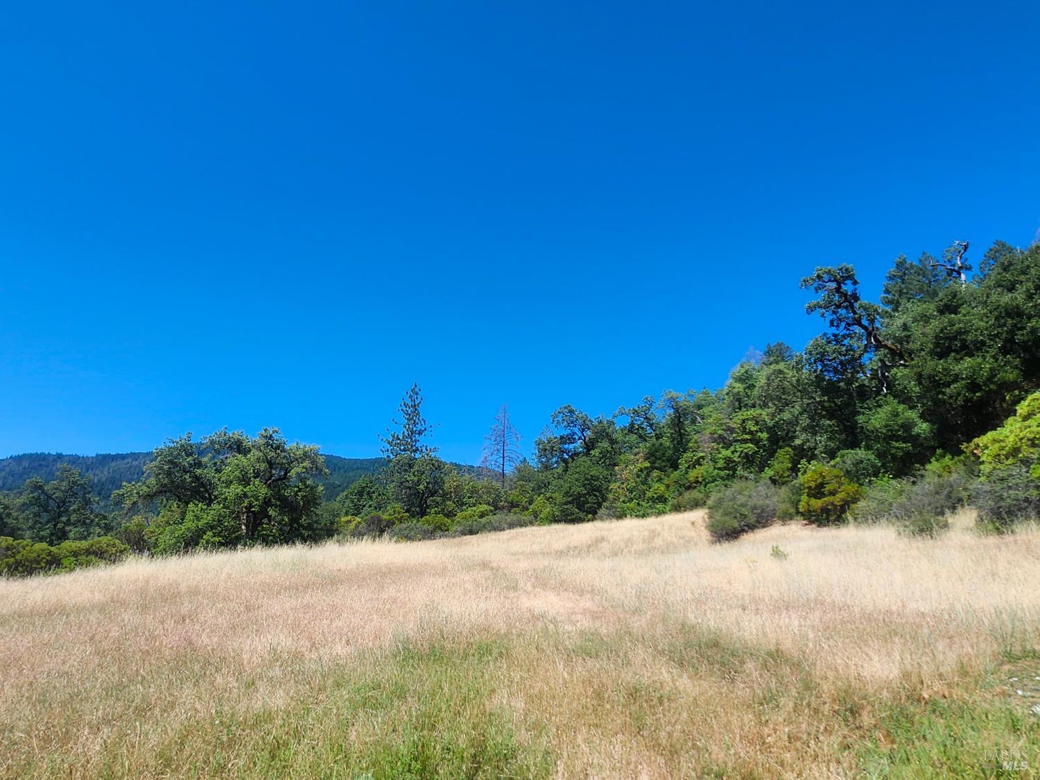 22551 Rifle Range Road Covelo, CA 95428 - Photo 15 of 24