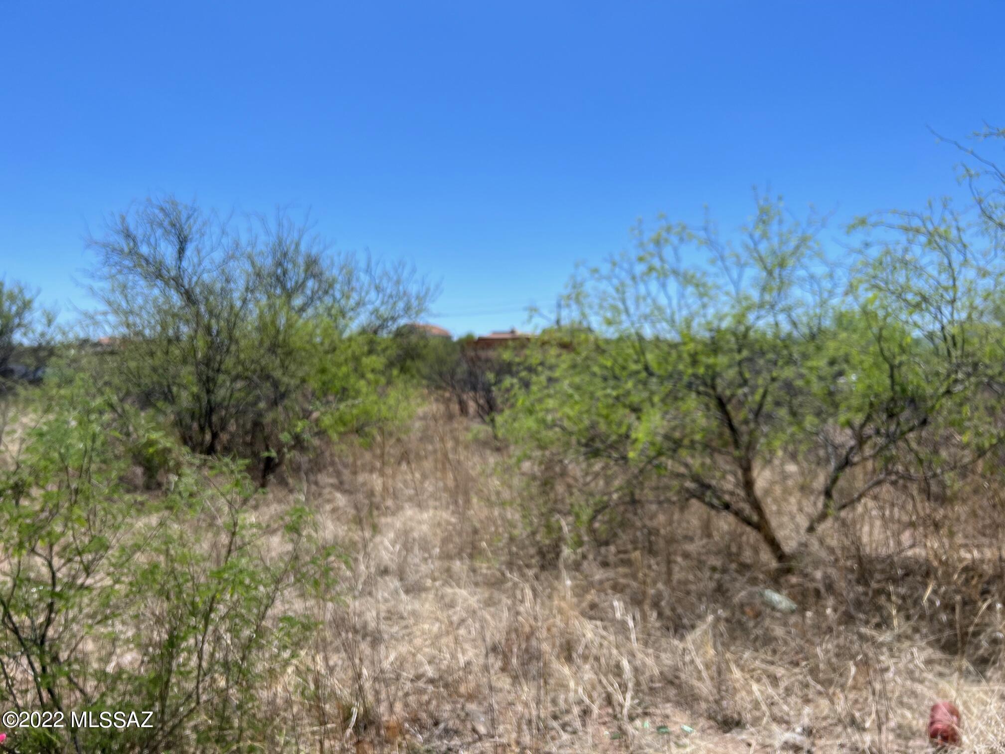 1166 Circulo Mercado, Unit 27 Rio Rico, AZ 85648 - Photo 5 of 6