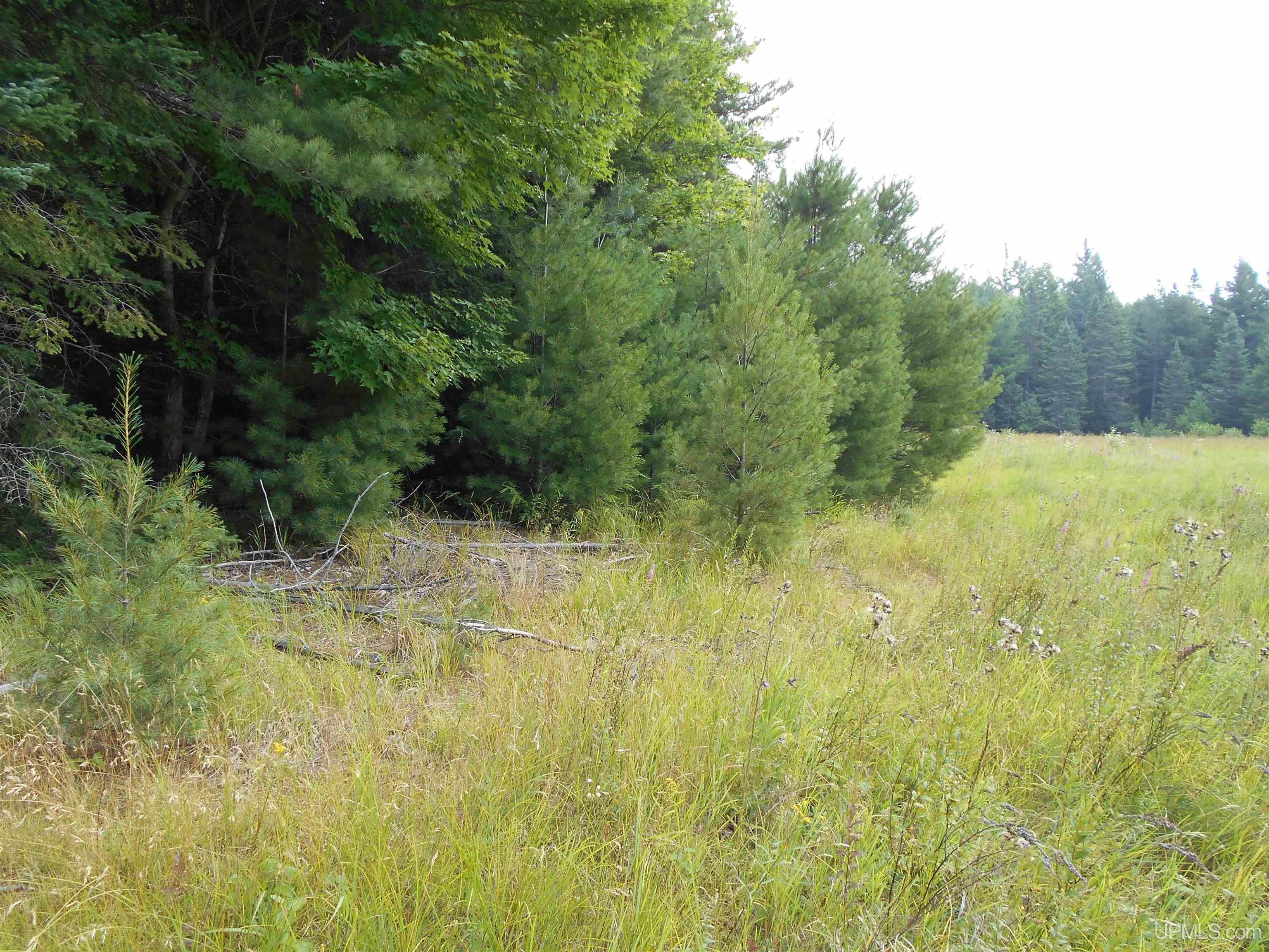 40-acres Garden Grade Road Garden, MI 49817 - Photo 50 of 51