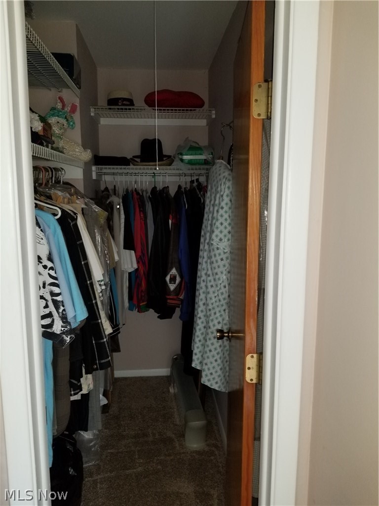 48160 North Ridge Road Amherst, OH 44001 - Photo 21 of 28 Walk in closet in bedroom.