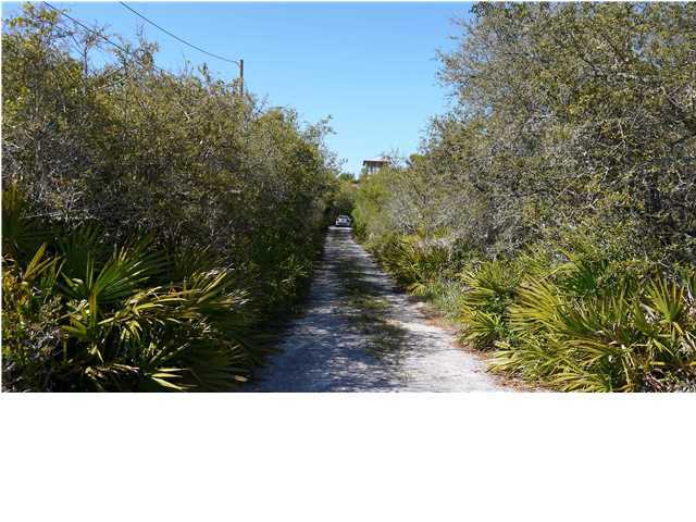 160 Pompano Street Inlet Beach, FL 32461 - Photo 2 of 11 a black and white photo of a forest