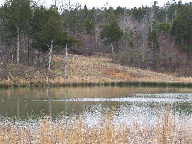 1875 Yellow Spring Road Holladay, TN 38341 - Photo 1 of 7 Gallery Image 1