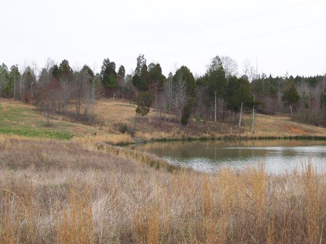 1875 Yellow Spring Road Holladay, TN 38341 - Photo 2 of 7 Gallery Image 2