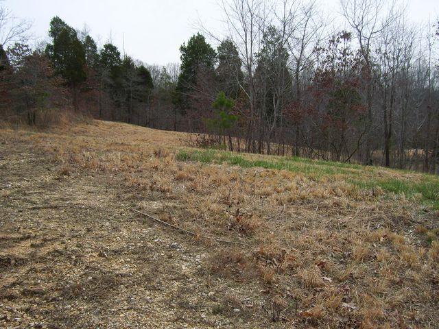 1875 Yellow Spring Road Holladay, TN 38341 - Photo 3 of 7 Gallery Image 3