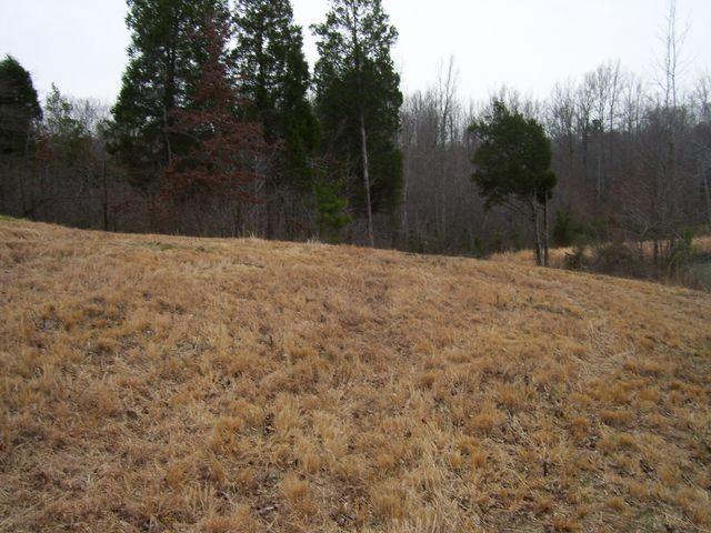 1875 Yellow Spring Road Holladay, TN 38341 - Photo 4 of 7 Gallery Image 4