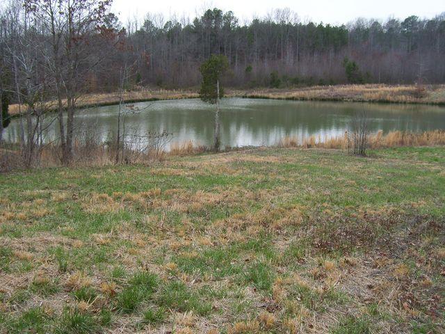 1875 Yellow Spring Road Holladay, TN 38341 - Photo 5 of 7 Gallery Image 5