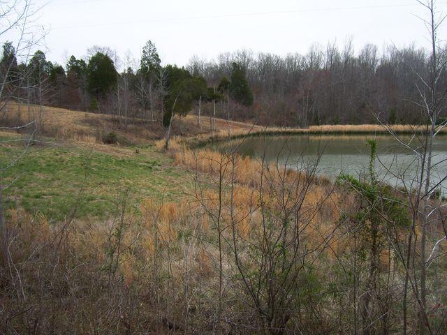 1875 Yellow Spring Road Holladay, TN 38341 - Photo 6 of 7 Gallery Image 6