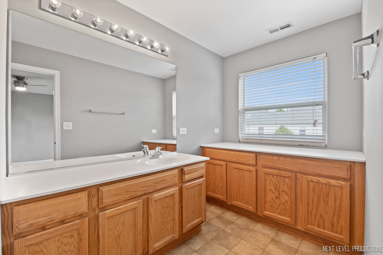 533 Metropolitan Street Aurora, IL 60502 - Photo 11 of 18 a bathroom with a sink a mirror and a window