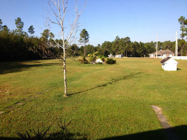 11026 Deerfoot Lane Elberta, AL 36530 - Photo 5 of 6 Front Yard