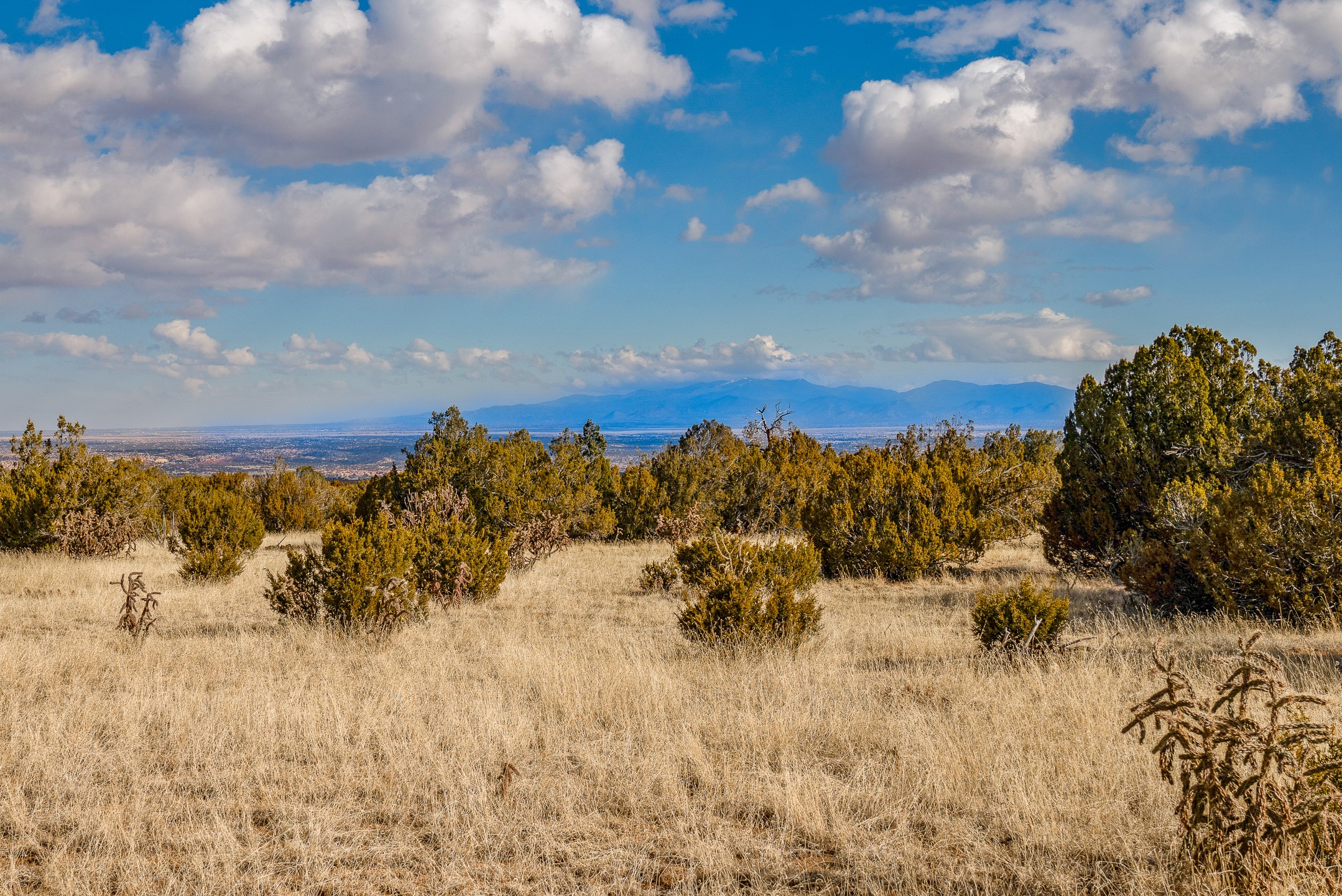 156 Wagon Trail Road Cerrillos, NM 87010 - Photo 17 of 24