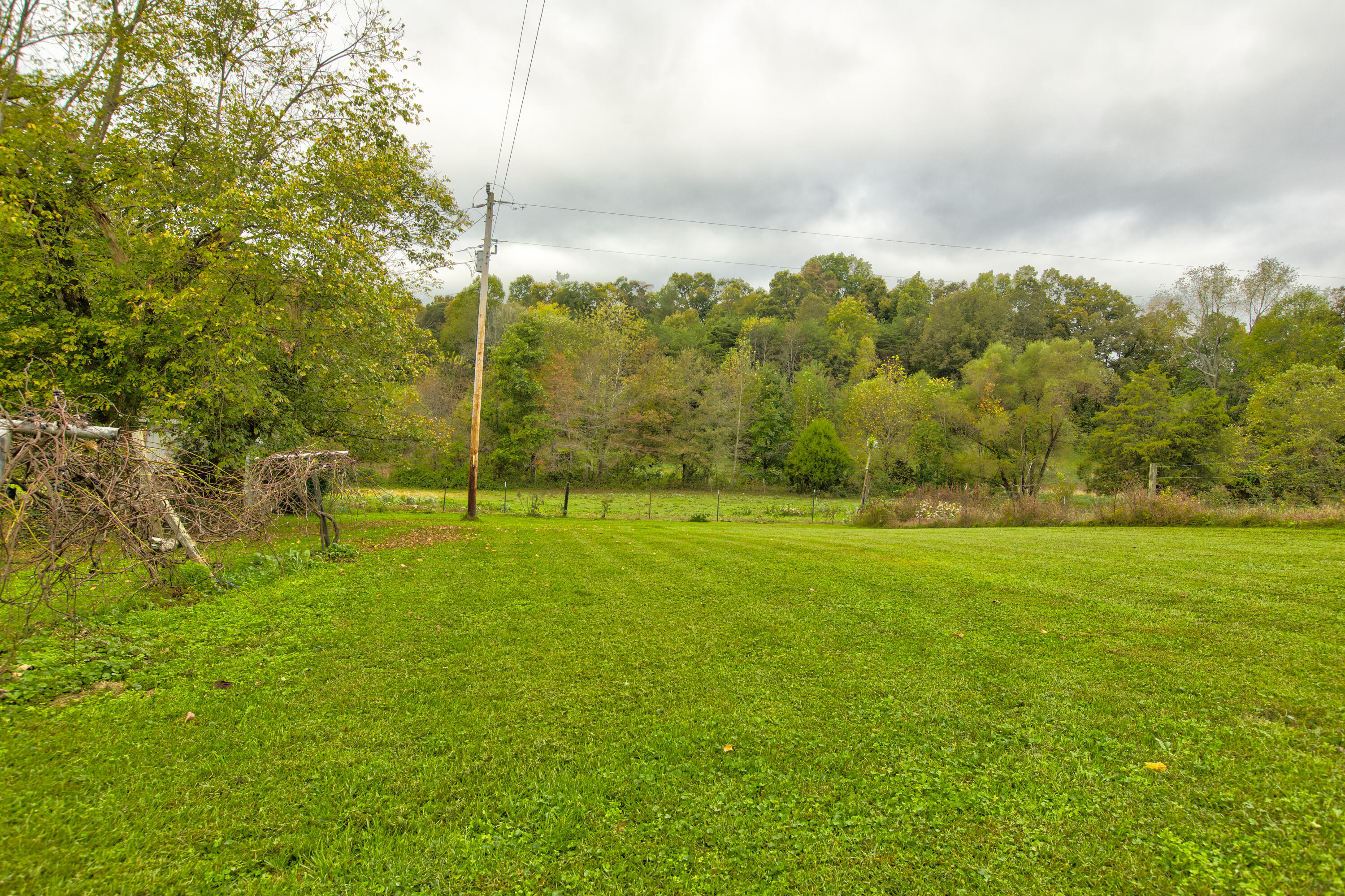 570 Science Ridge Road Jeffersonville, KY 40337 - Photo 11 of 13 261A8983_4_5