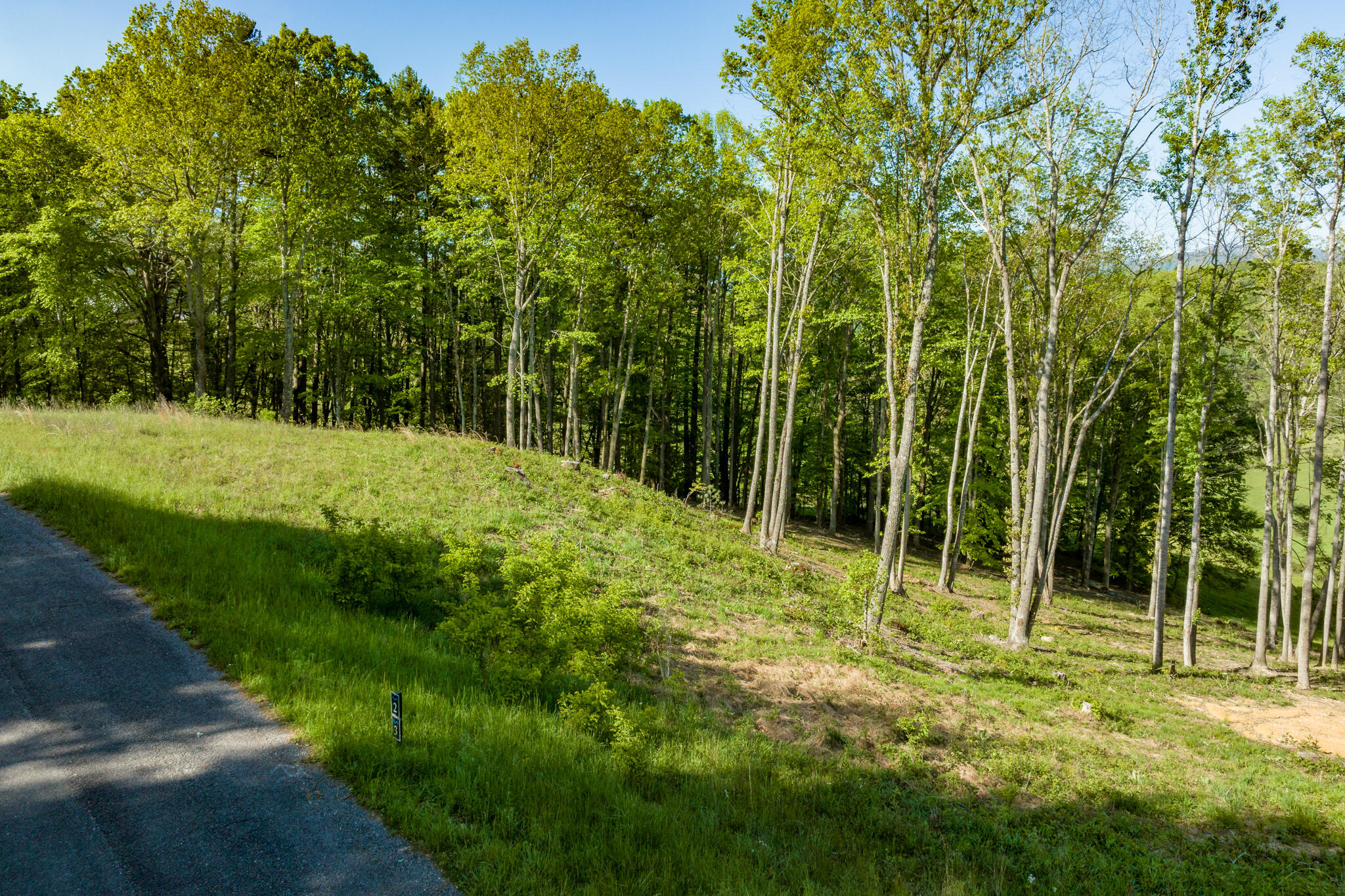 Lot 2 West Of Dry Hill Road, Unit 2 Butler, TN 37640 - Photo 11 of 51 TBD Eagle Ridge LOT 2 (11 of 27)