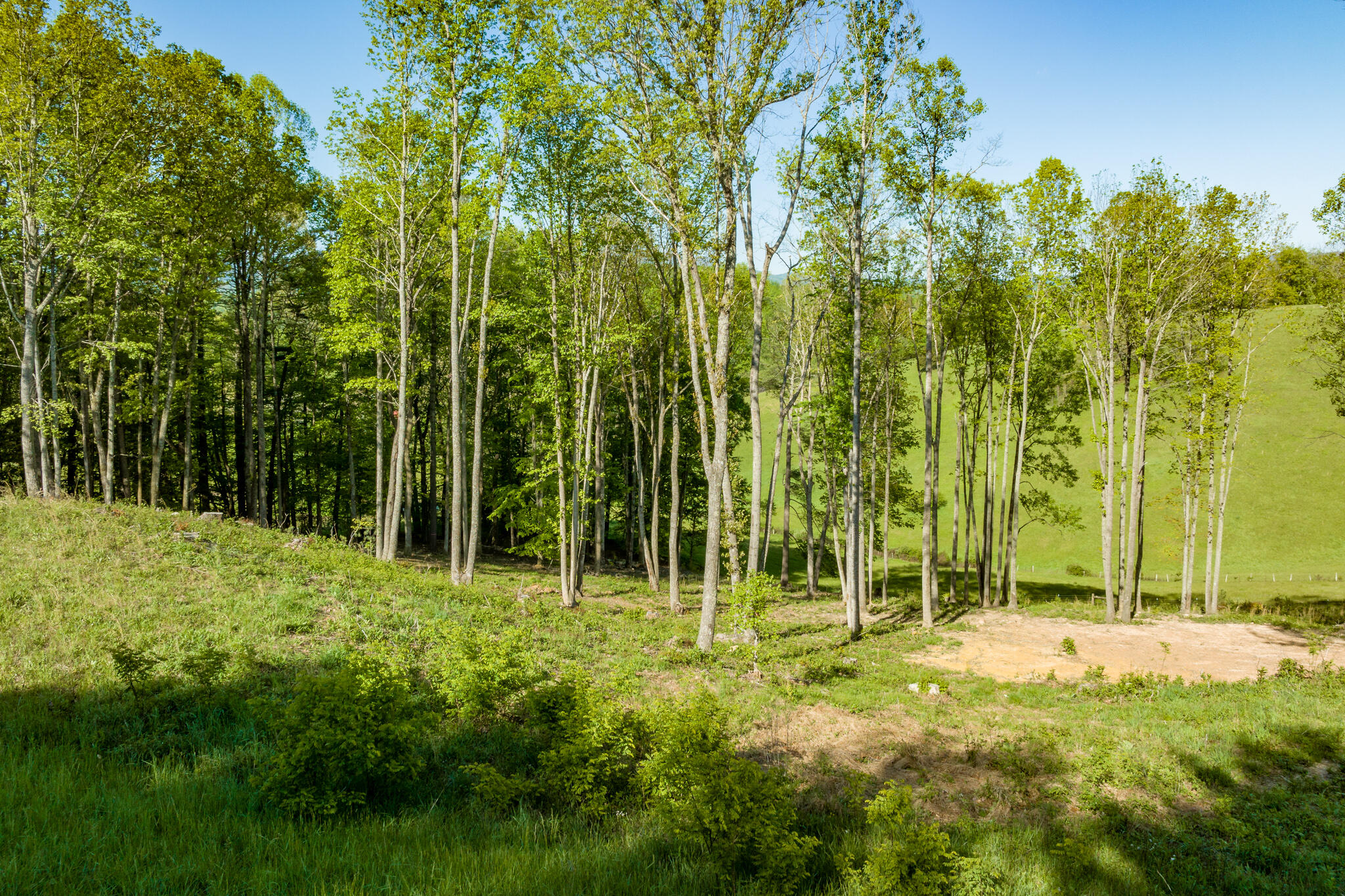 Lot 2 West Of Dry Hill Road, Unit 2 Butler, TN 37640 - Photo 12 of 51 TBD Eagle Ridge LOT 2 (12 of 27)