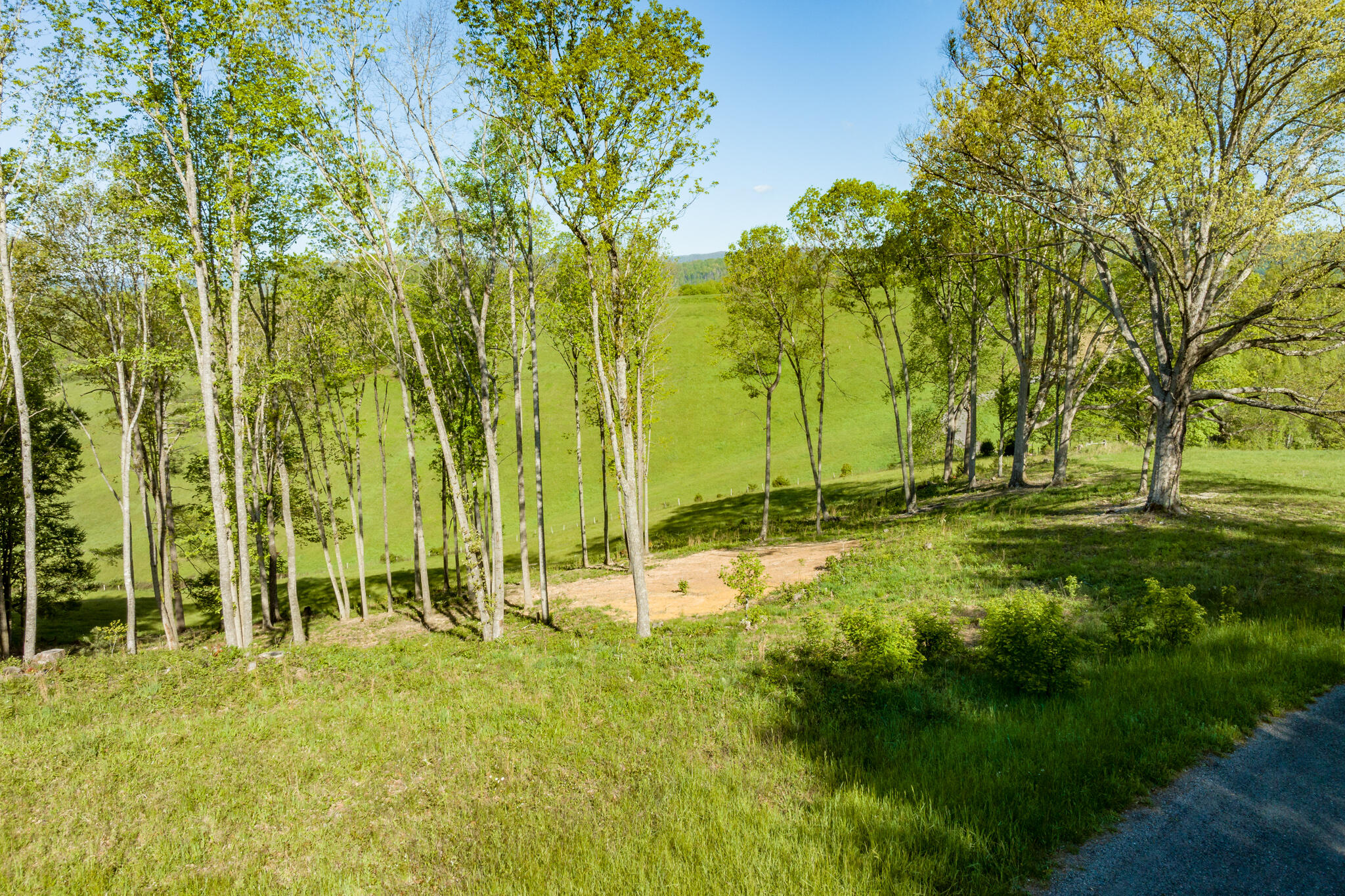 Lot 2 West Of Dry Hill Road, Unit 2 Butler, TN 37640 - Photo 13 of 51 TBD Eagle Ridge LOT 2 (13 of 27)