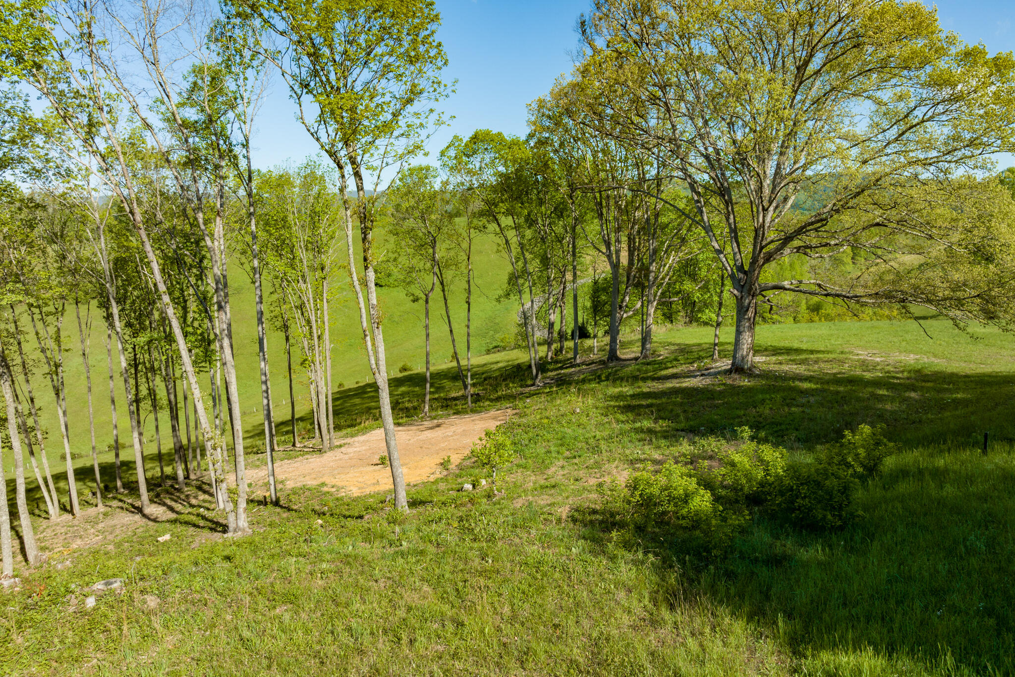 Lot 2 West Of Dry Hill Road, Unit 2 Butler, TN 37640 - Photo 14 of 51 TBD Eagle Ridge LOT 2 (14 of 27)