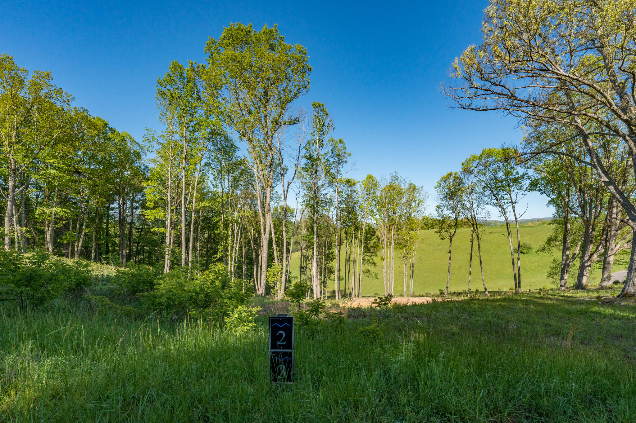 Lot 2 West Of Dry Hill Road, Unit 2 Butler, TN 37640 - Photo 15 of 51 TBD Eagle Ridge LOT 2 (17 of 27)