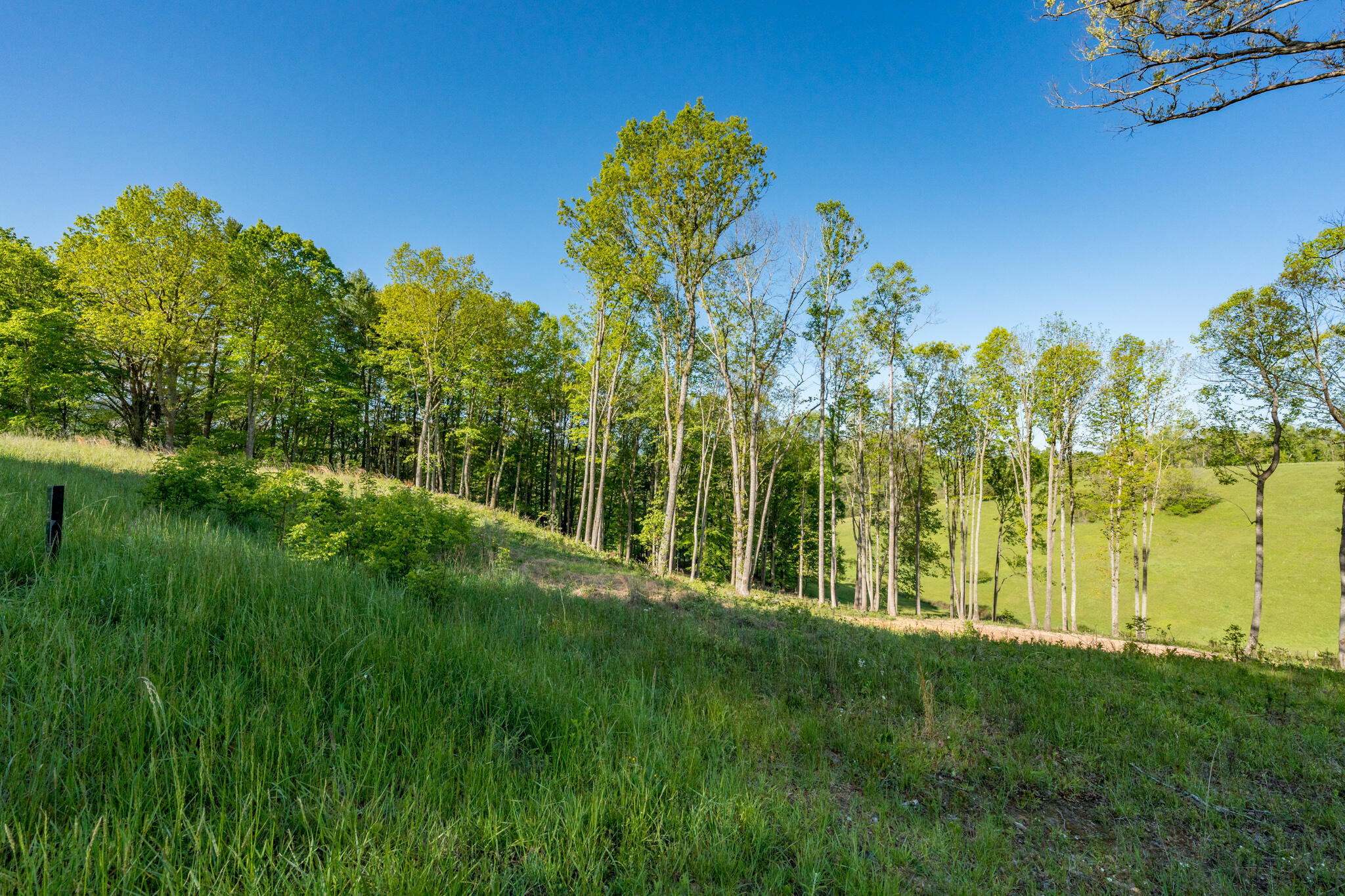 Lot 2 West Of Dry Hill Road, Unit 2 Butler, TN 37640 - Photo 16 of 51 TBD Eagle Ridge LOT 2 (18 of 27)