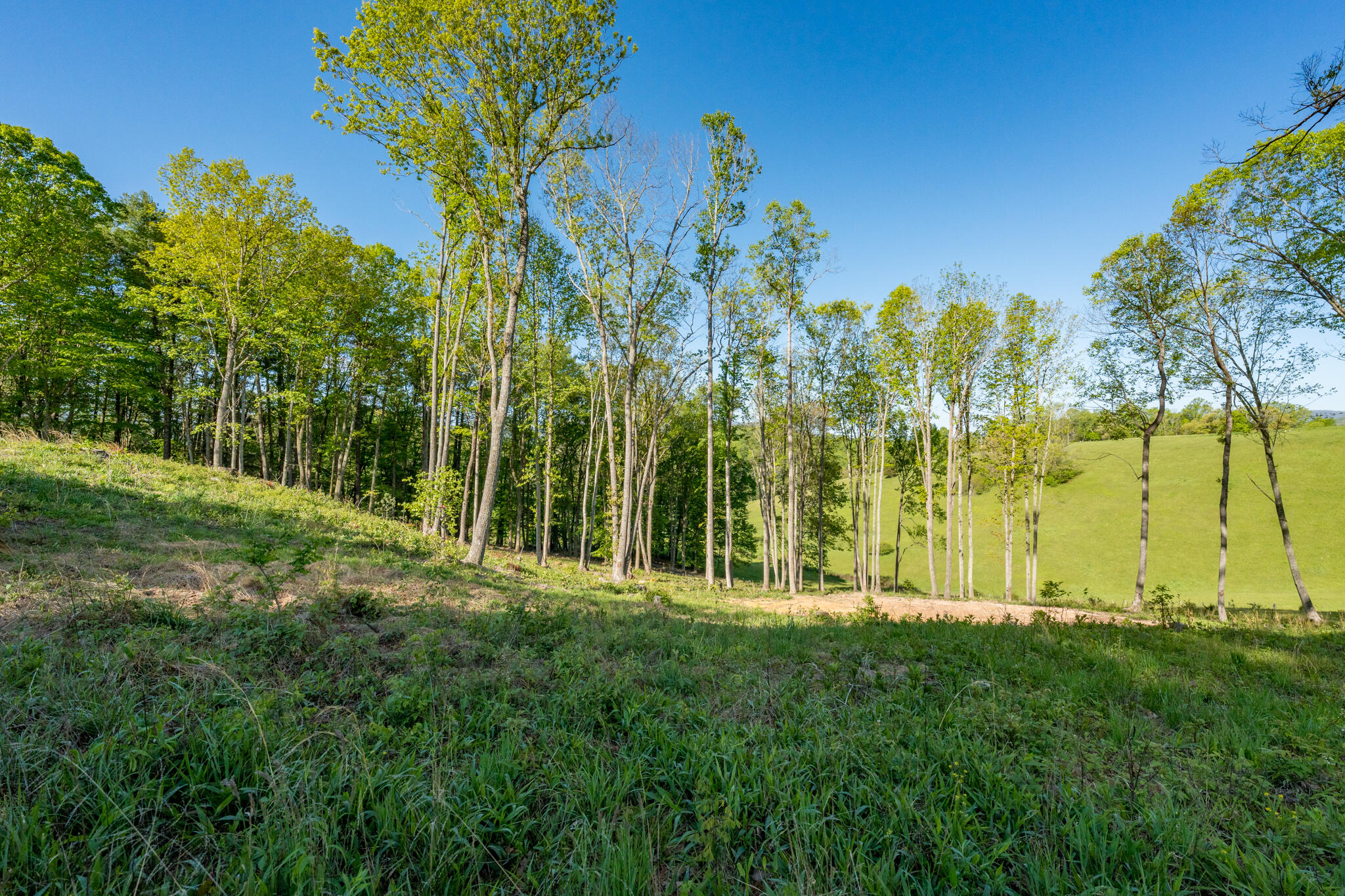 Lot 2 West Of Dry Hill Road, Unit 2 Butler, TN 37640 - Photo 17 of 51 TBD Eagle Ridge LOT 2 (19 of 27)