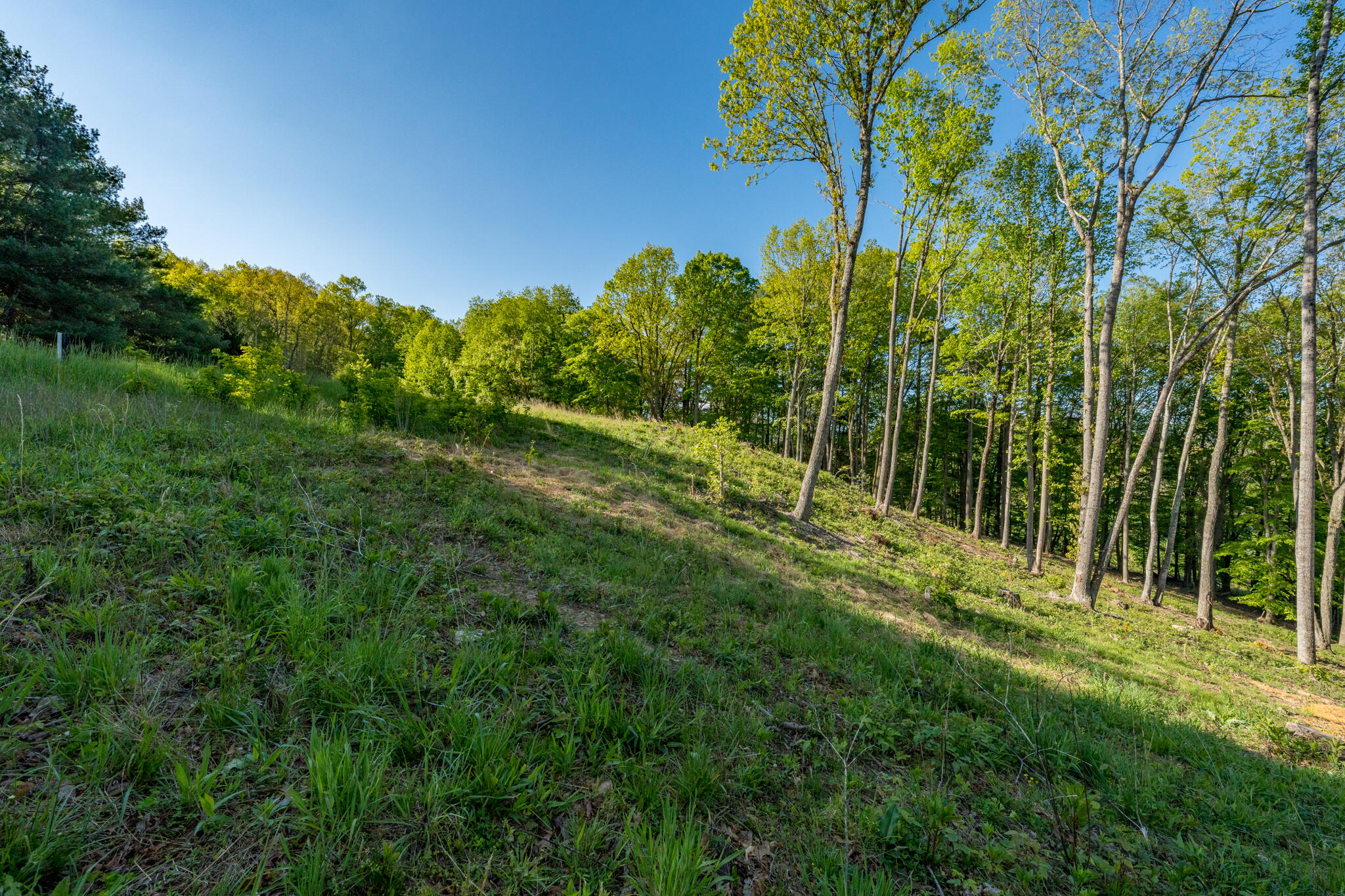 Lot 2 West Of Dry Hill Road, Unit 2 Butler, TN 37640 - Photo 18 of 51 TBD Eagle Ridge LOT 2 (20 of 27)