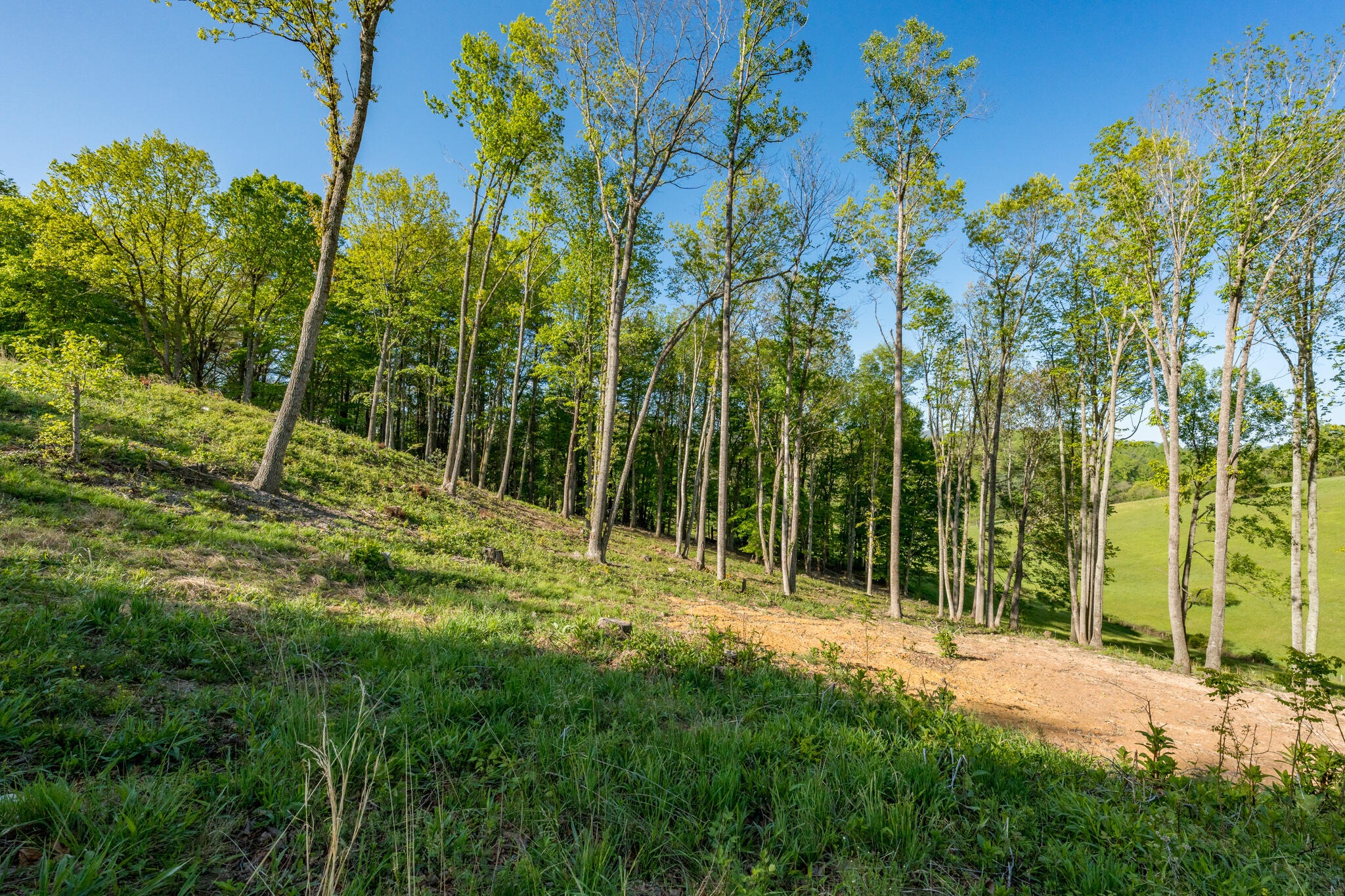 Lot 2 West Of Dry Hill Road, Unit 2 Butler, TN 37640 - Photo 19 of 51 TBD Eagle Ridge LOT 2 (21 of 27)