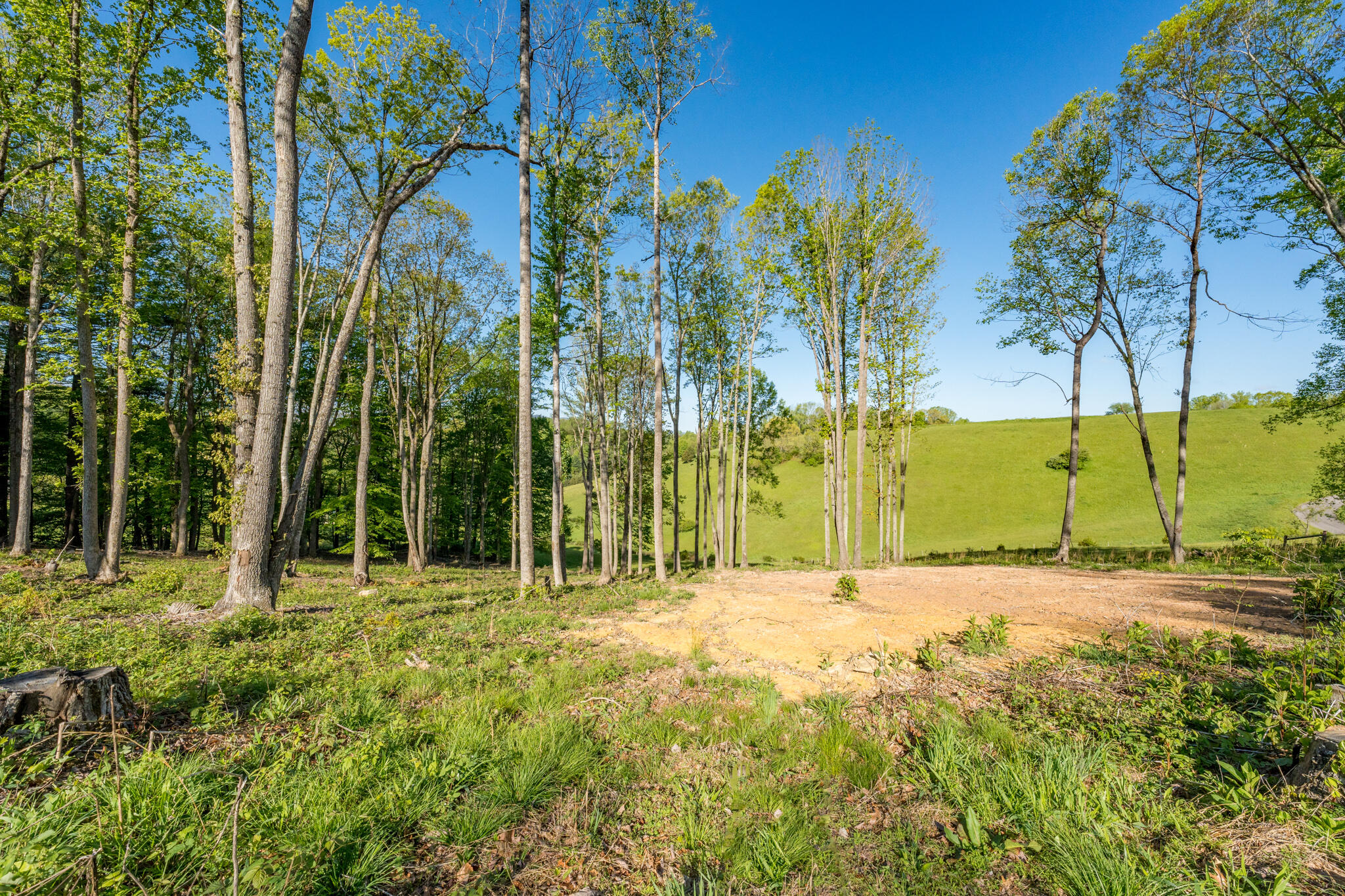 Lot 2 West Of Dry Hill Road, Unit 2 Butler, TN 37640 - Photo 20 of 51 TBD Eagle Ridge LOT 2 (22 of 27)